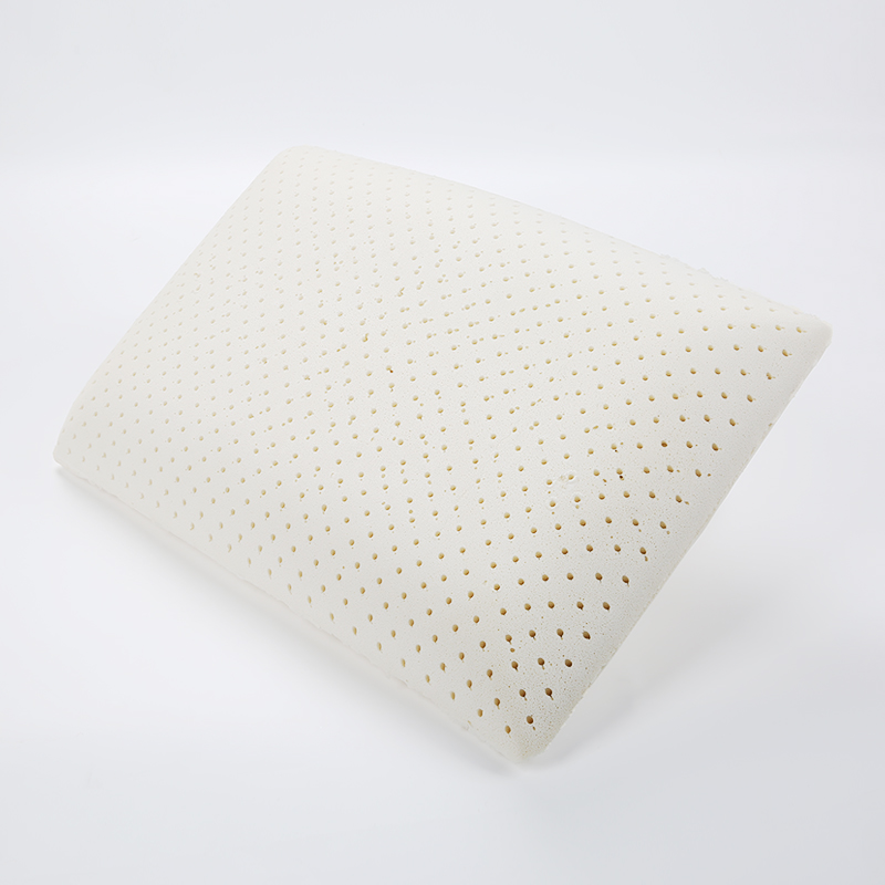 Dunlop Latex Bread Shape Pillow