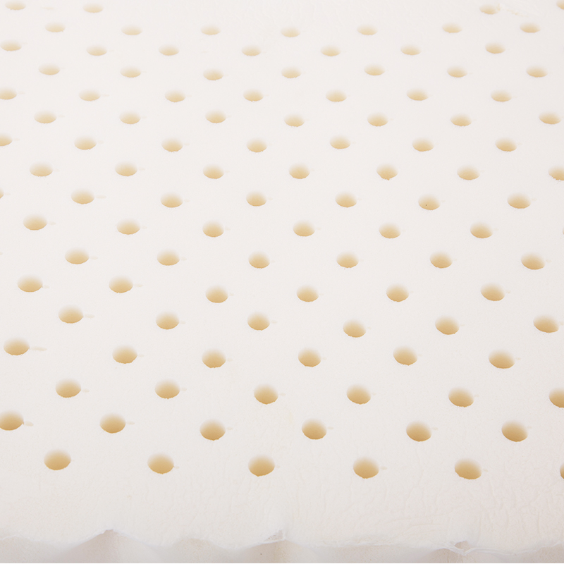 Dunlop Latex Textured Surface Butterfly Shape Pillow