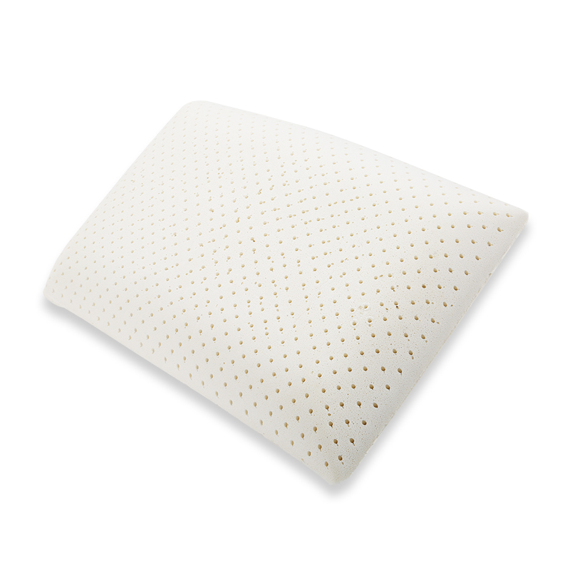 Dunlop Latex Bread Shape Pillow