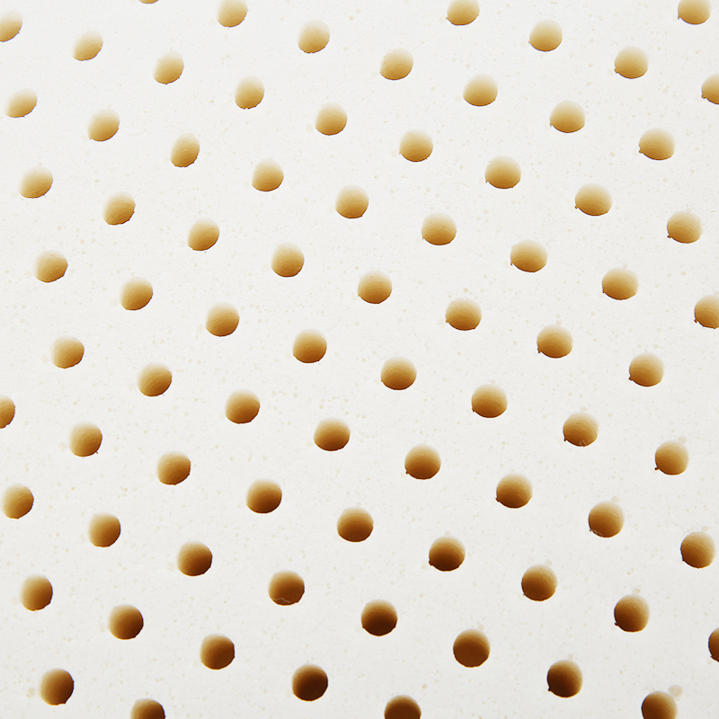 Dunlop Latex Figured Surface Contour Pillow